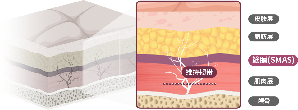 컨텐츠이미지