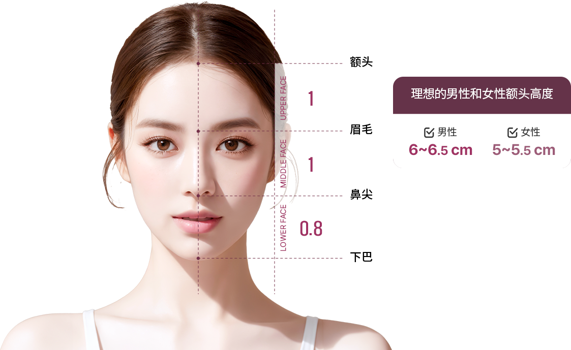 컨텐츠이미지