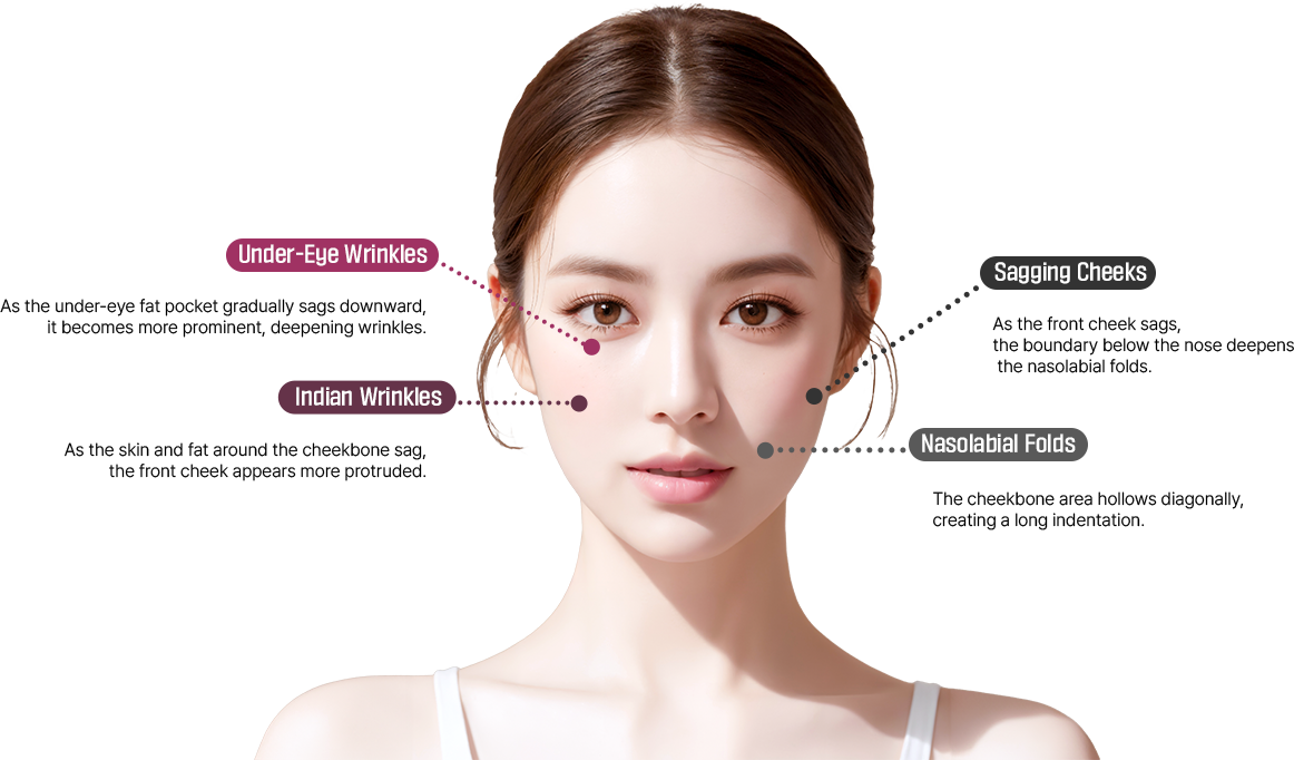 컨텐츠이미지