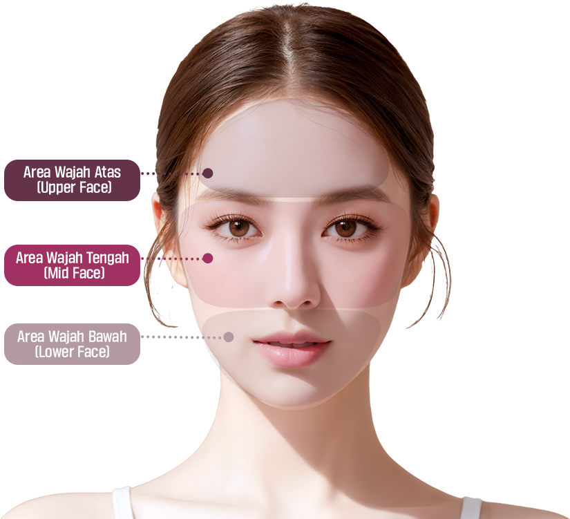 컨텐츠이미지