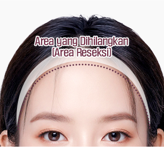 컨텐츠이미지