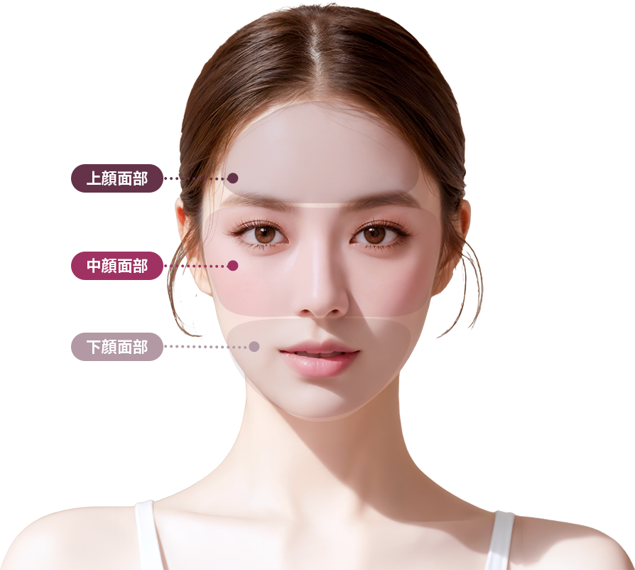 컨텐츠이미지