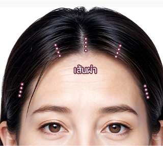 컨텐츠이미지