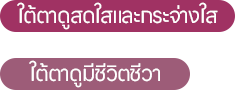 ไอคอน