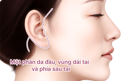 컨텐츠이미지
